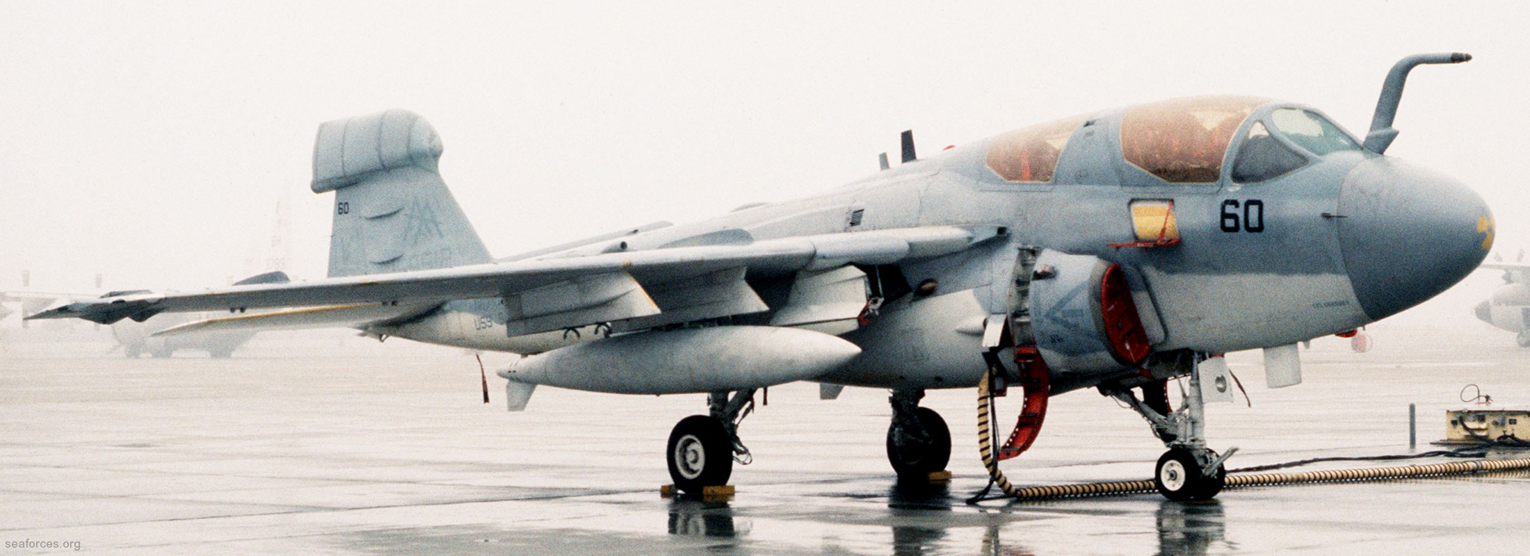 vmaq-2 playboys ea-6b prowler marine tactical electronic warfare squadron usmc 48