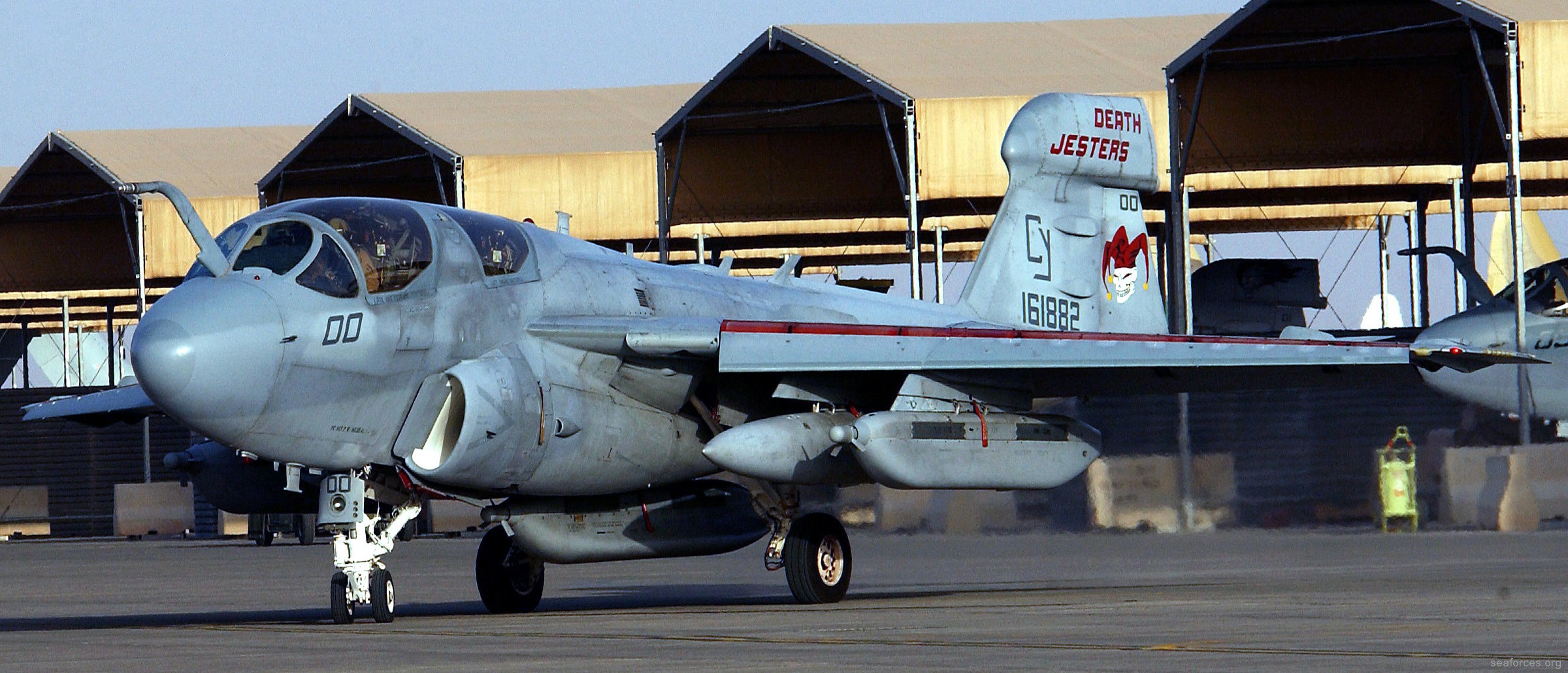vmaq-2 death jesters ea-6b prowler marine tactical electronic warfare squadron usmc 58