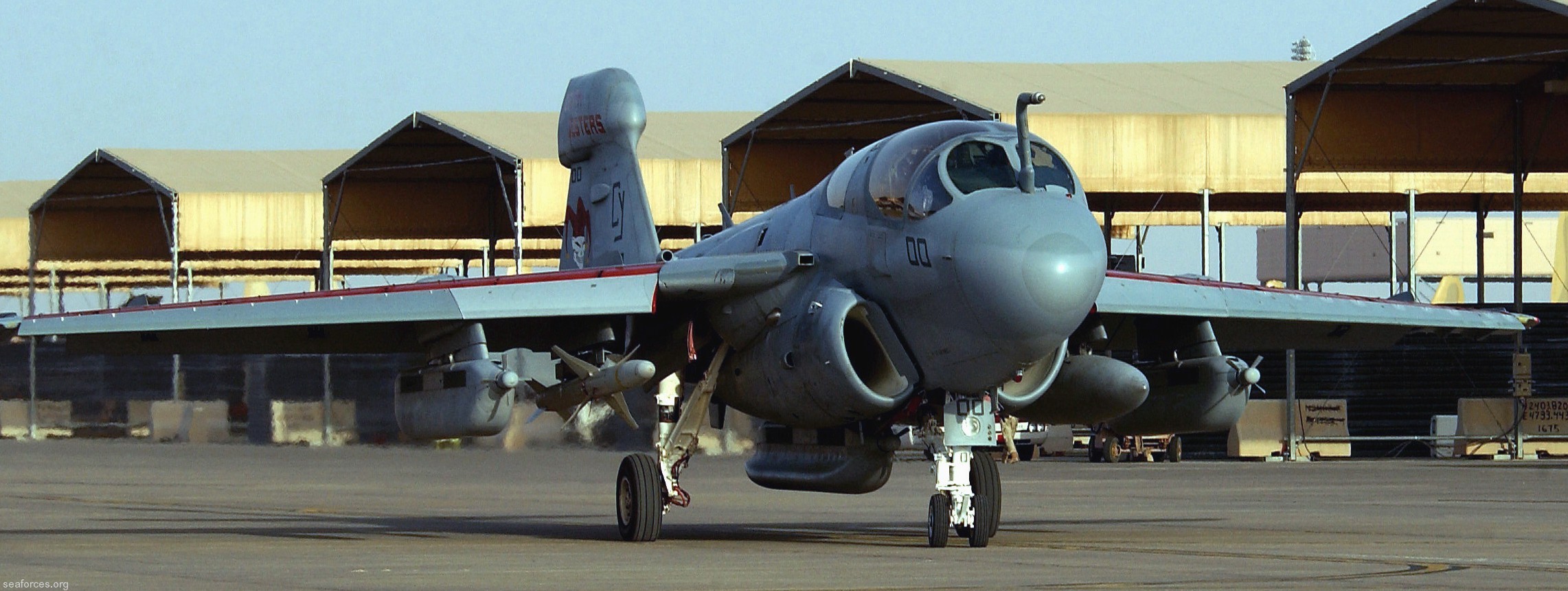 vmaq-2 death jesters ea-6b prowler marine tactical electronic warfare squadron usmc 65