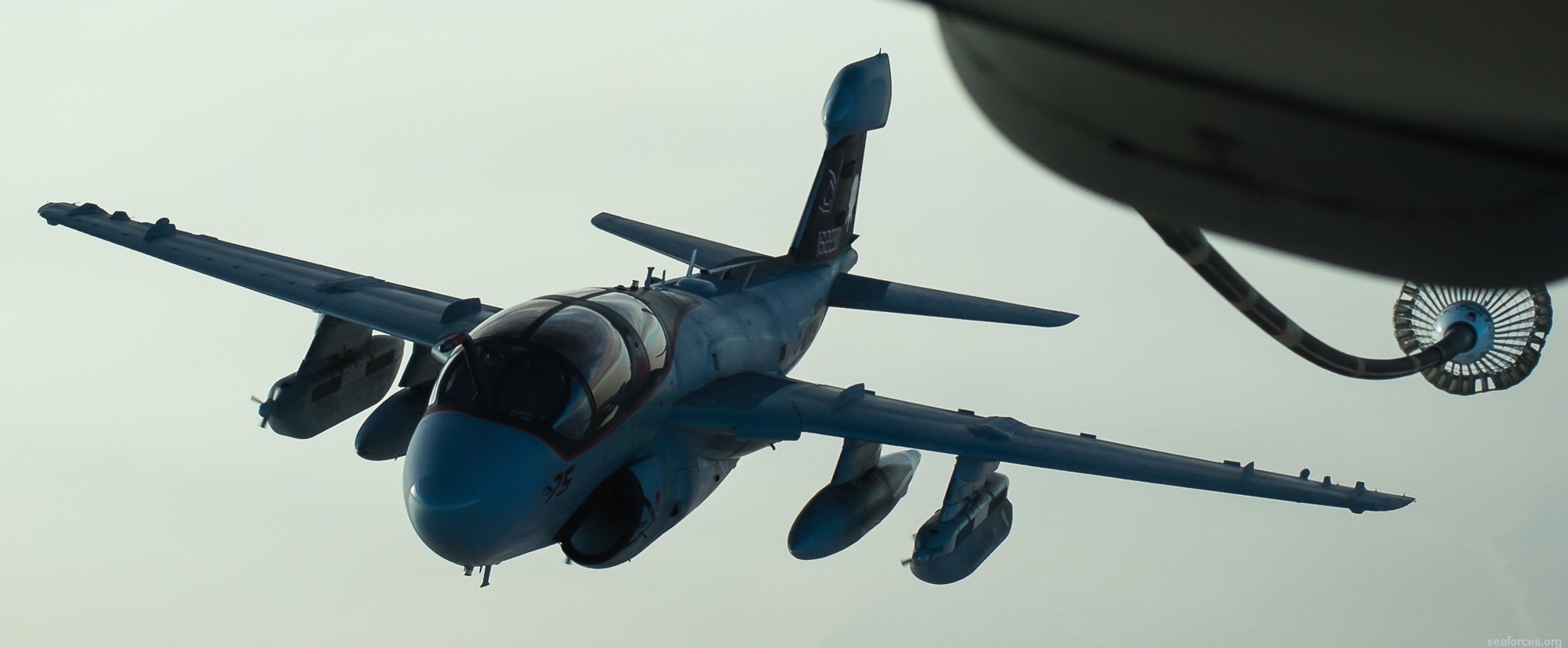 vmaq-2 death jesters ea-6b prowler marine tactical electronic warfare squadron usmc 87