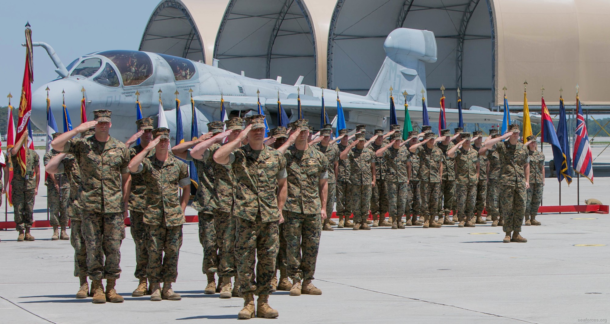 vmaq-3 moon dogs ea-6b prowler marine tactical electronic warfare squadron usmc 03 deactivation ceremony