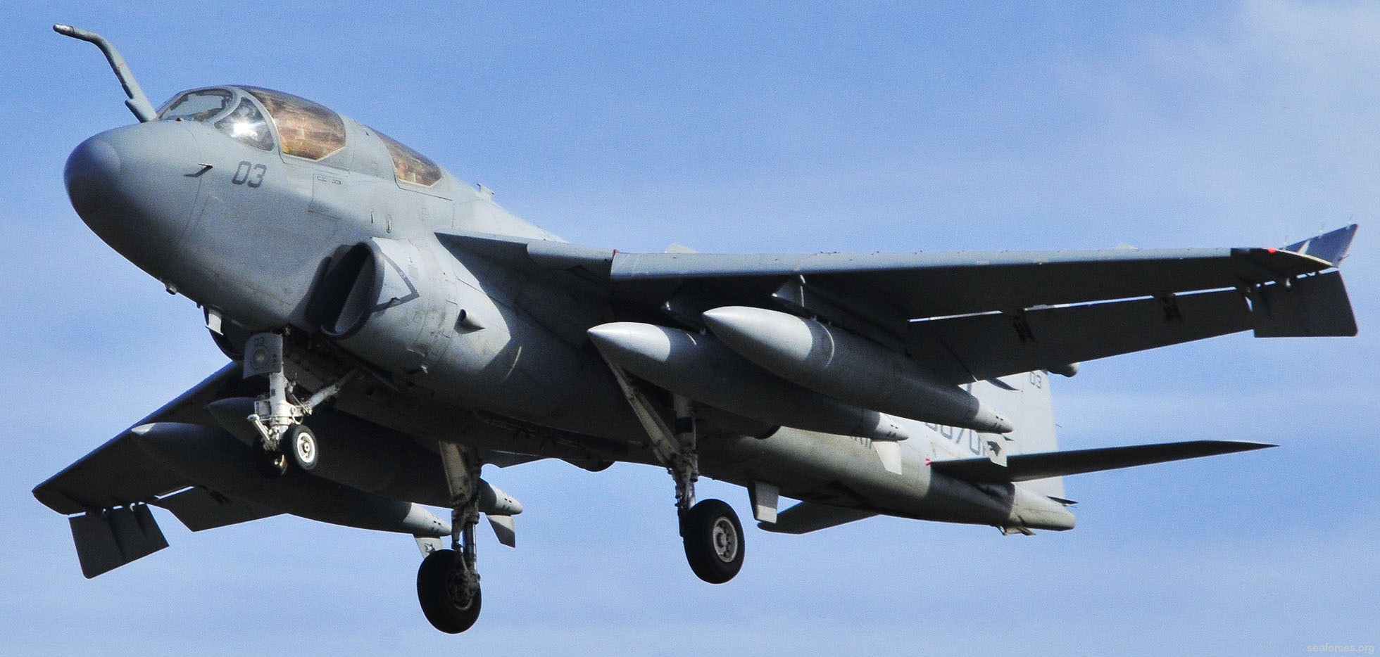 vmaq-3 moon dogs ea-6b prowler marine tactical electronic warfare squadron usmc 29