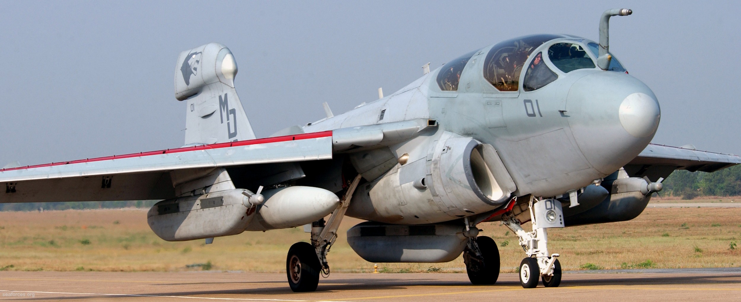 vmaq-3 moon dogs ea-6b prowler marine tactical electronic warfare squadron usmc 39 korat airbase thailand