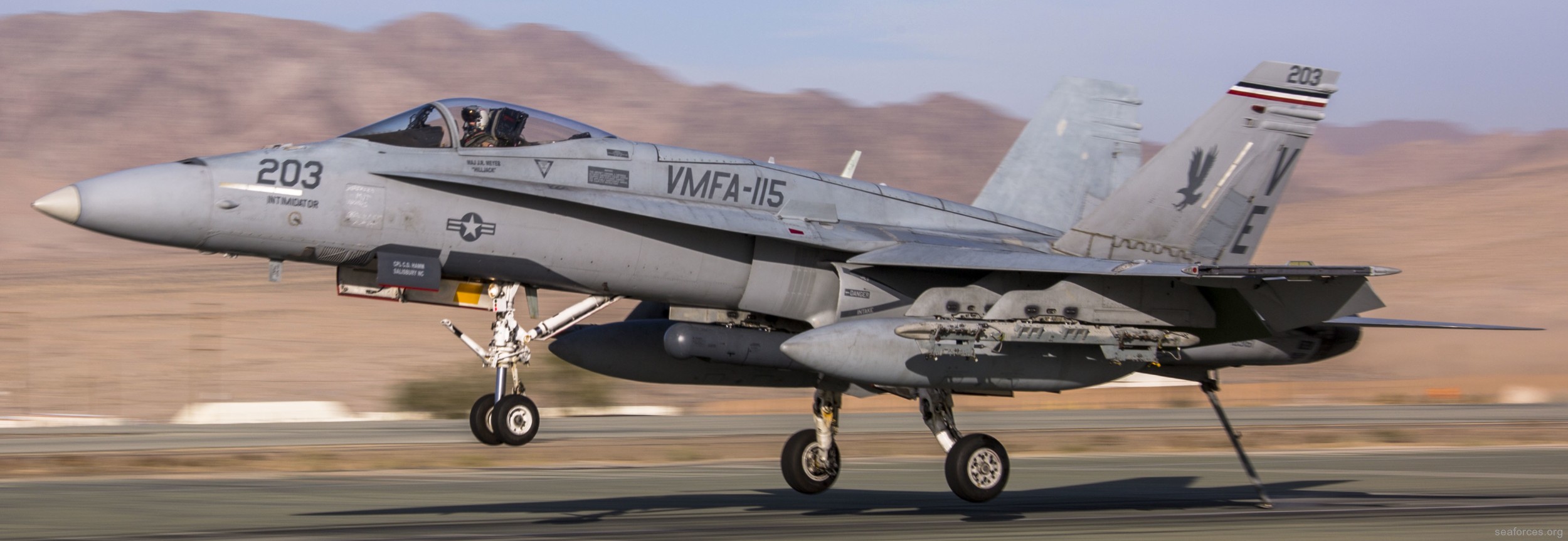 vmfa-115 silver eagles marine fighter attack squadron f/a-18a+ hornet 119