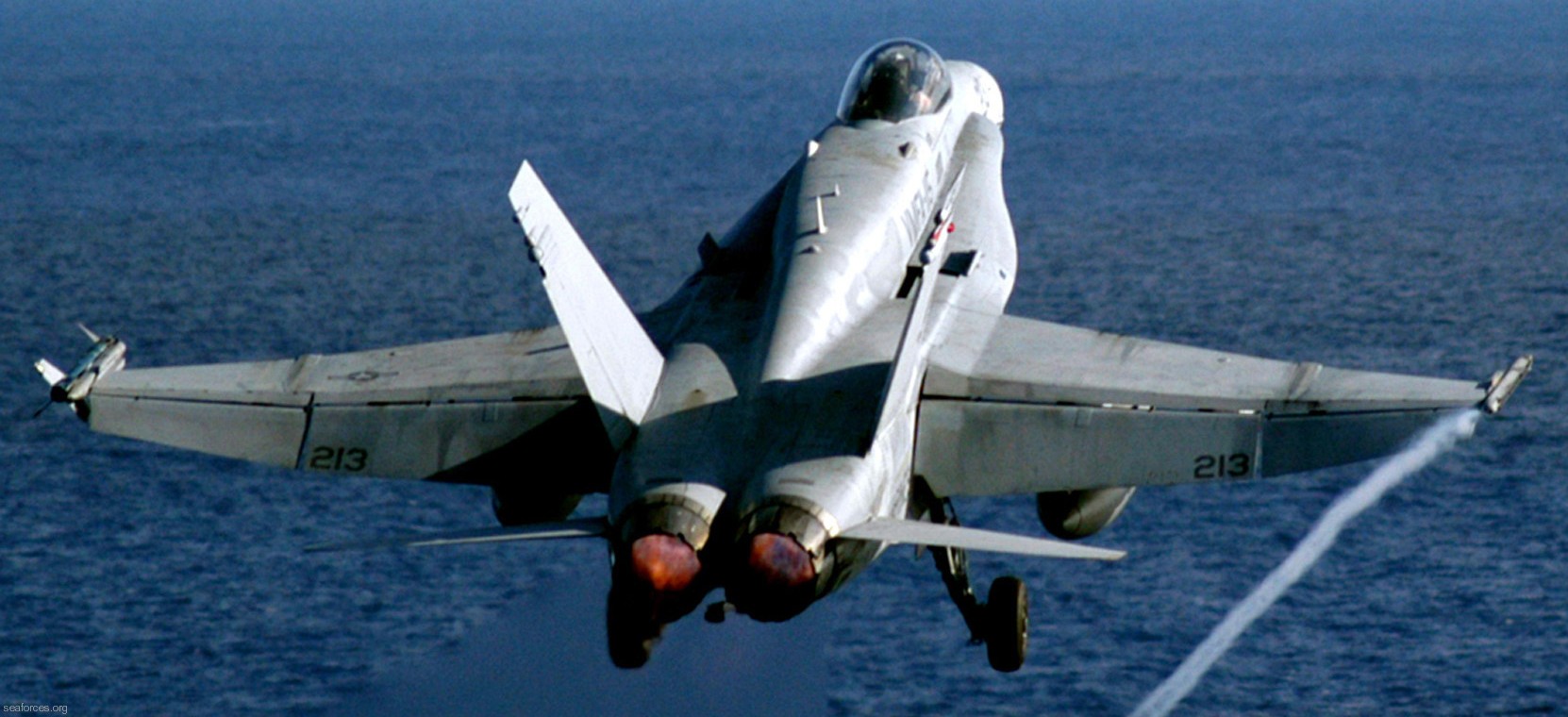 vmfa-115 silver eagles marine fighter attack squadron f/a-18a+ hornet 18