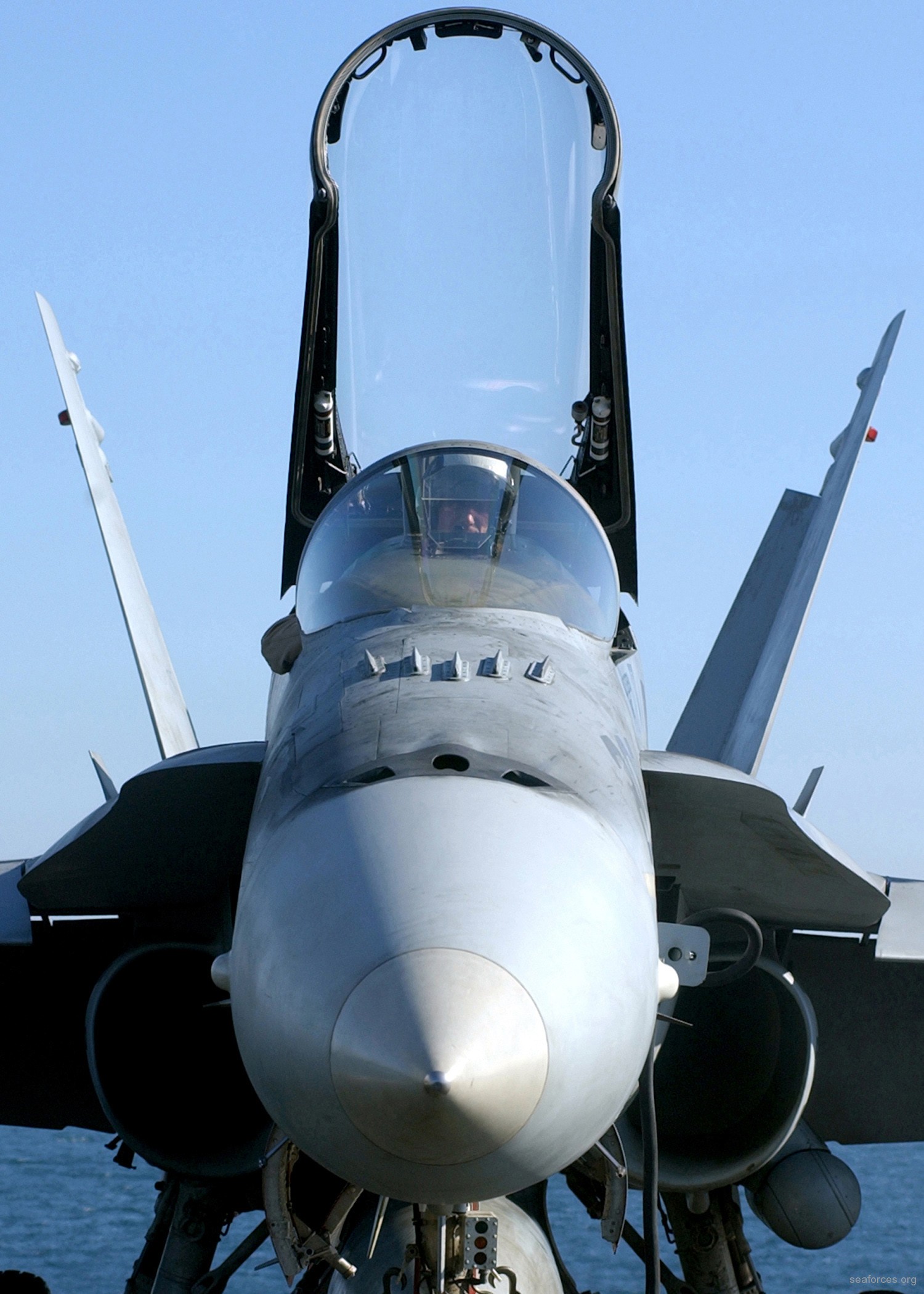 vmfa-115 silver eagles marine fighter attack squadron f/a-18a+ hornet 45