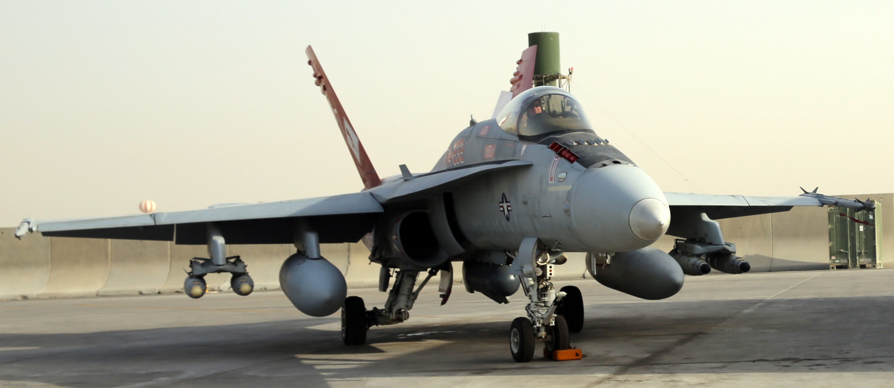 vmfa-232 red devils marine fighter attack squadron usmc f/a-18c hornet 132