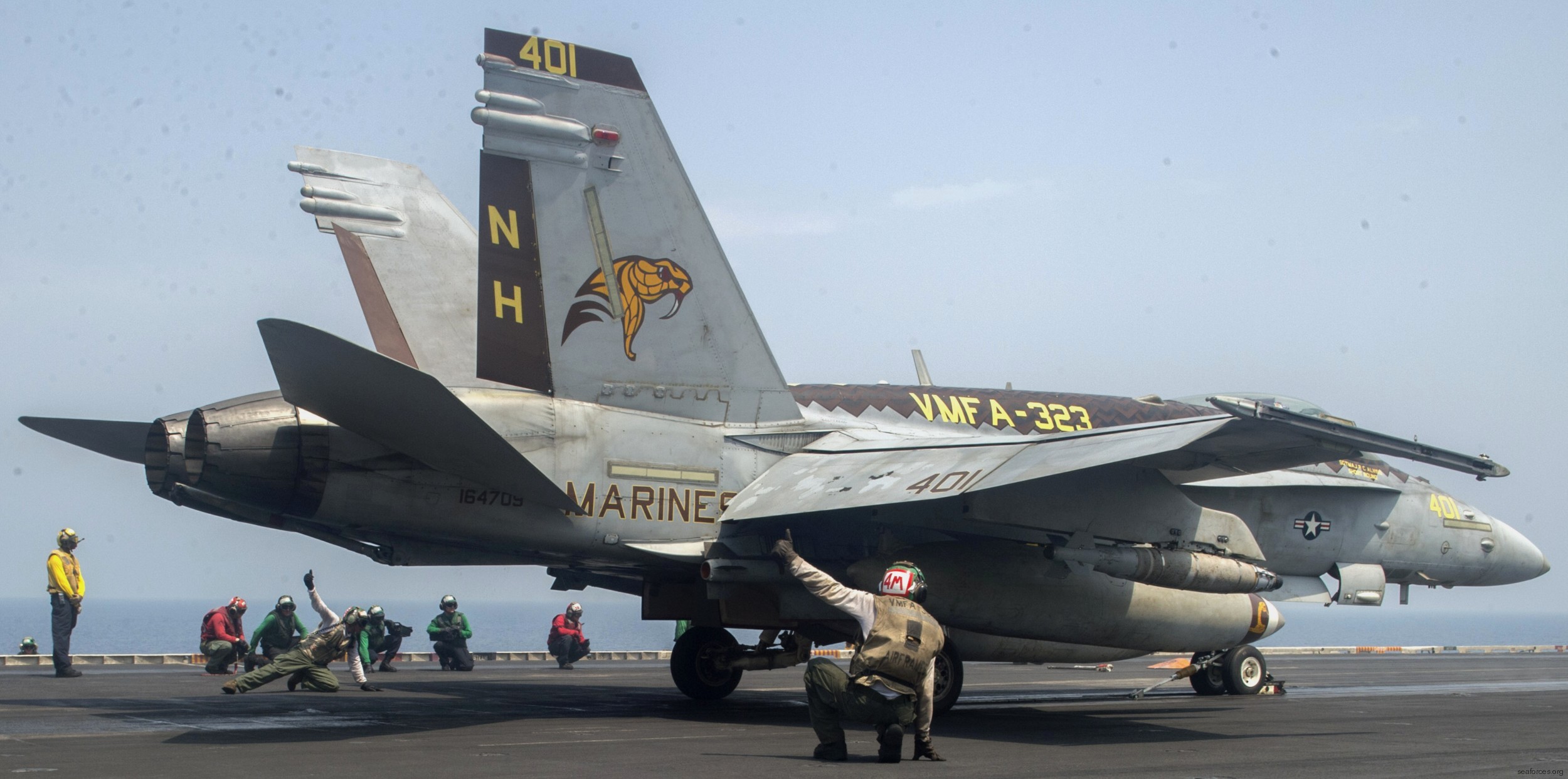 vmfa-323 death rattlers marine fighter attack squadron f/a-18c hornet cvw-11 uss nimitz cvn-68 20 special painting