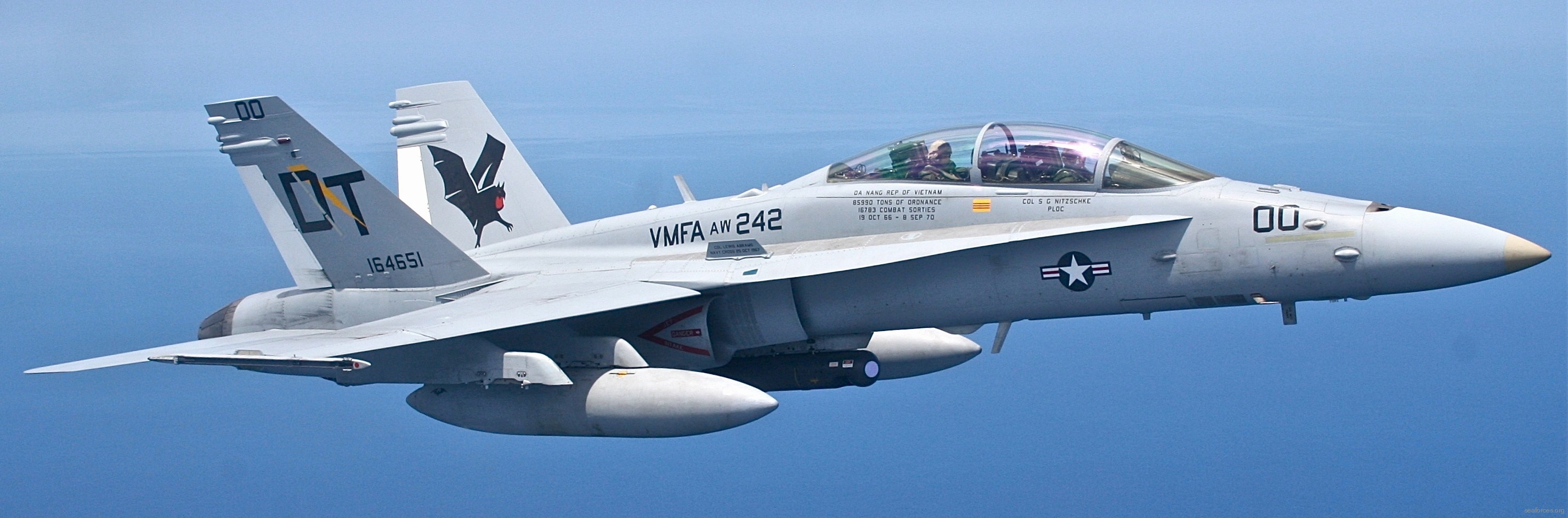 vmfa(aw)-242 bats marine all-weather fighter attack squadron usmc f/a-18d hornet 17