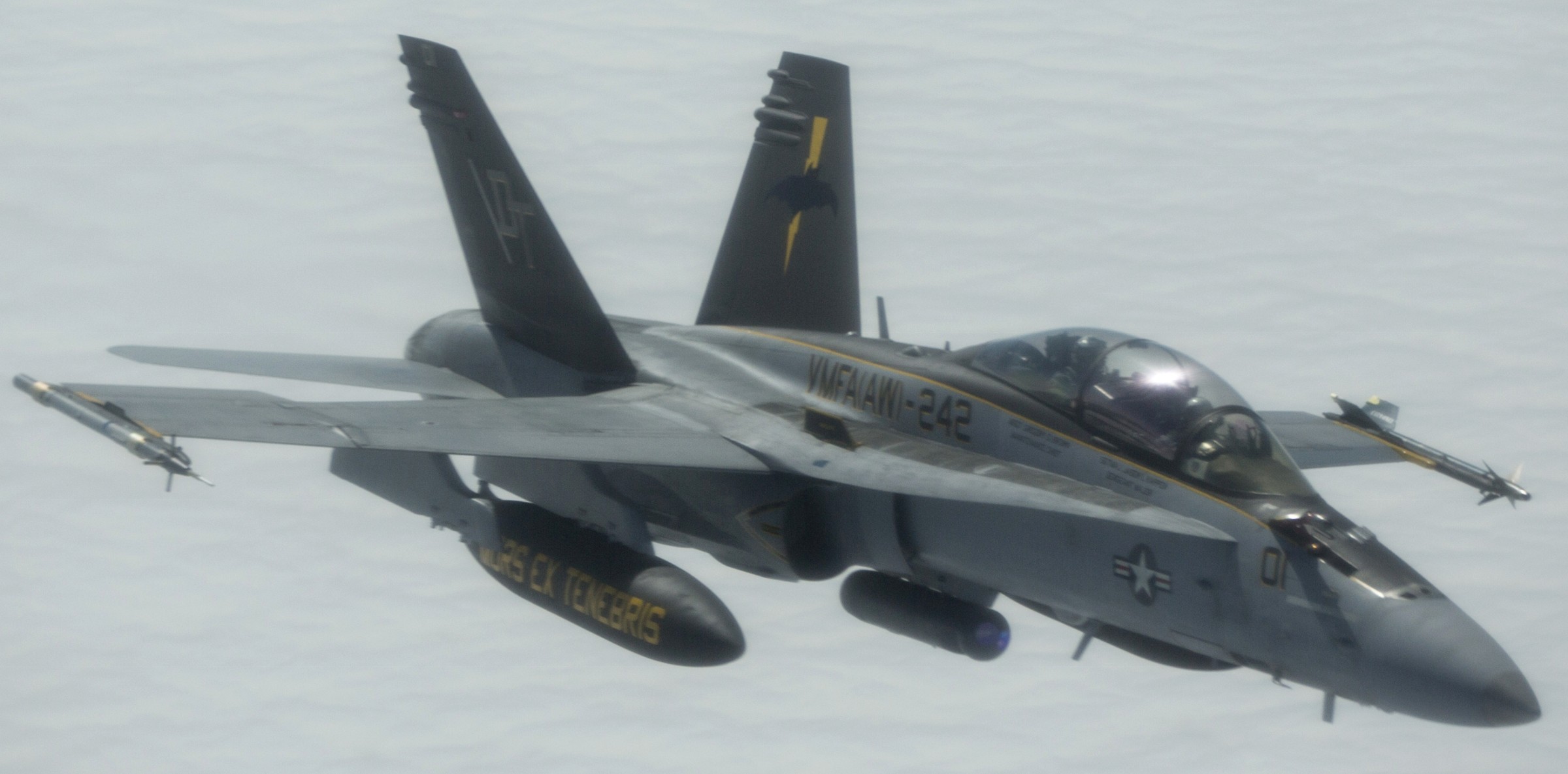 vmfa(aw)-242 bats marine all-weather fighter attack squadron usmc f/a-18d hornet 45