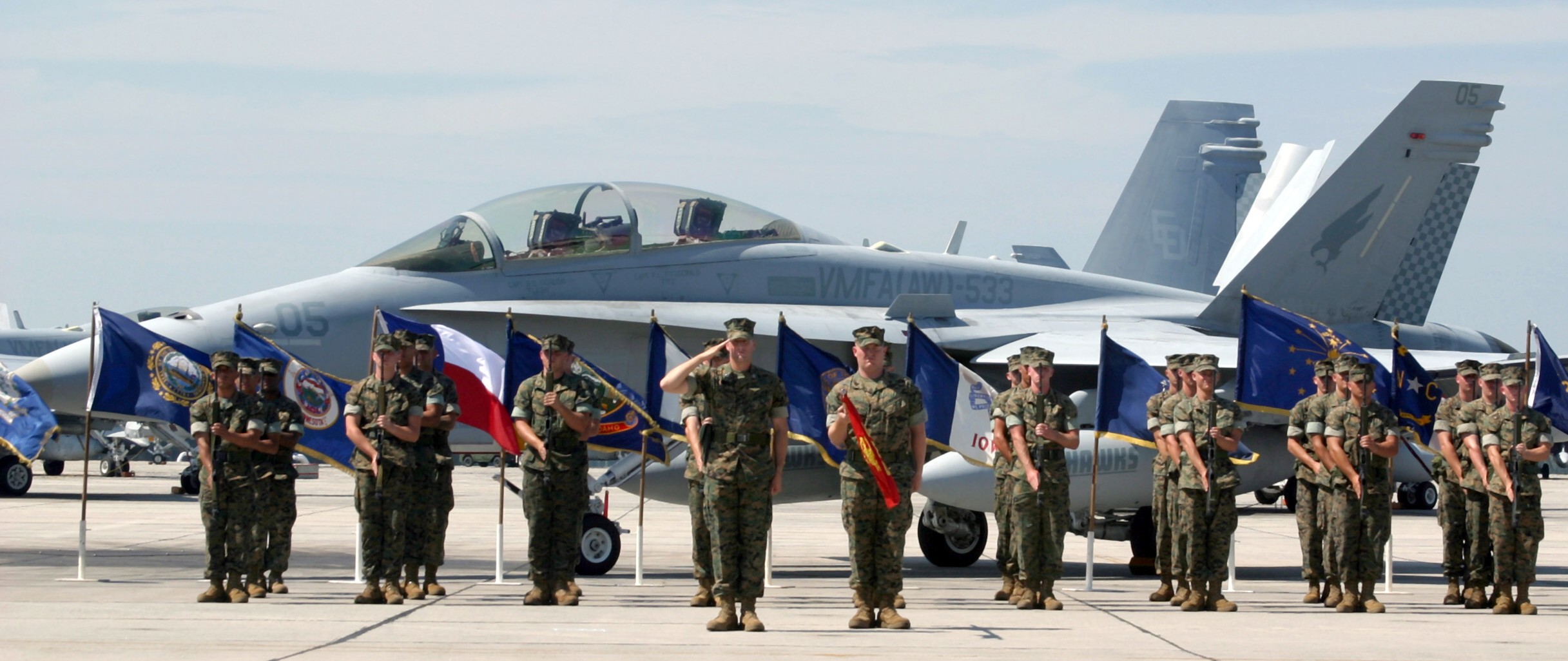 vmfa(aw)-533 hawks marine fighter attack squadron usmc f/a-18d hornet 07 change of command mcas beaufort