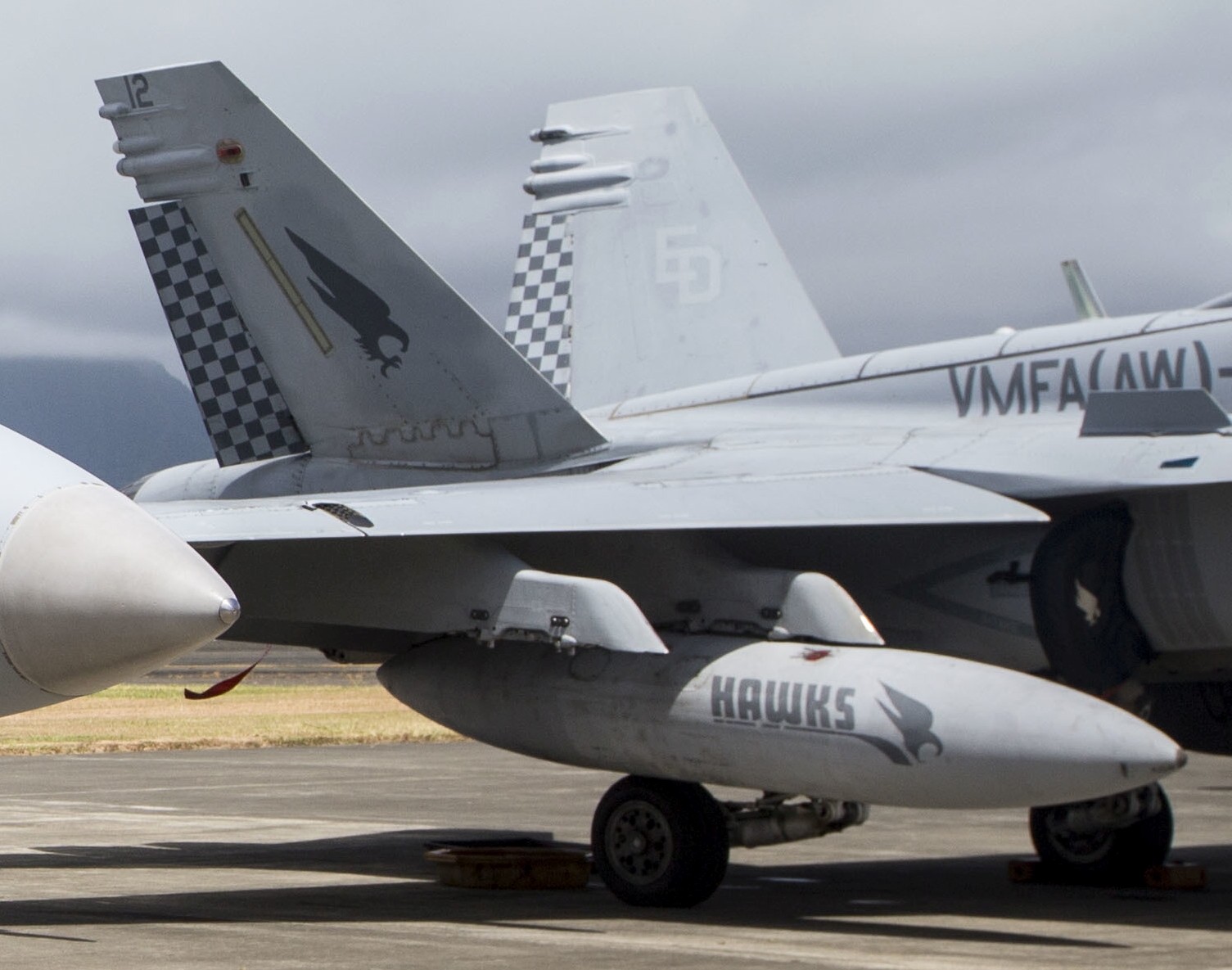 vmfa(aw)-533 hawks marine fighter attack squadron usmc f/a-18d hornet 55