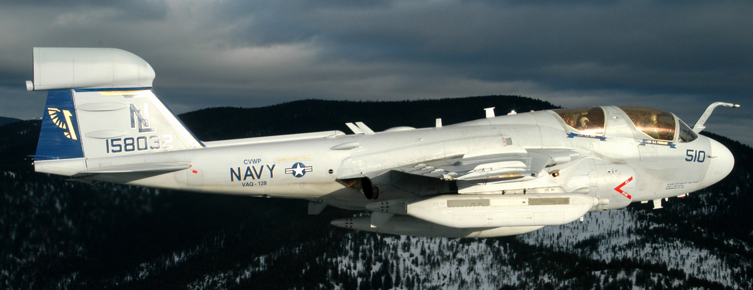 vaq-128 fighting phoenix electronic attack squadron vaqron grumman ea-6b prowler us navy 04