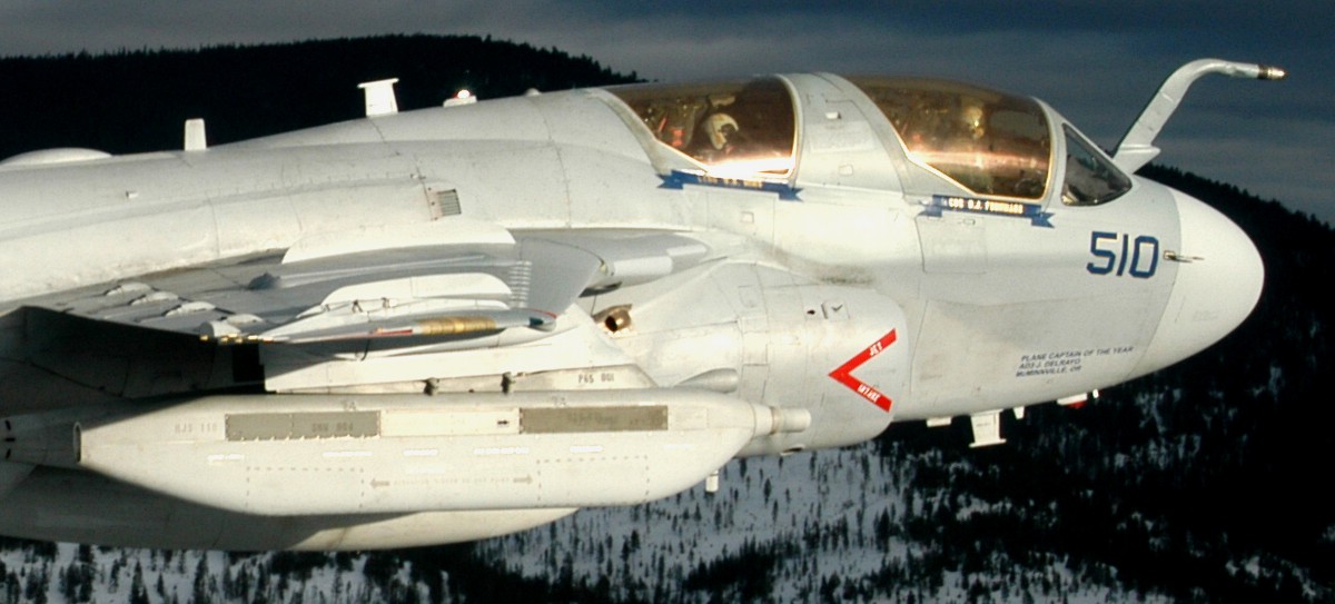 vaq-128 fighting phoenix electronic attack squadron vaqron grumman ea-6b prowler us navy 04a