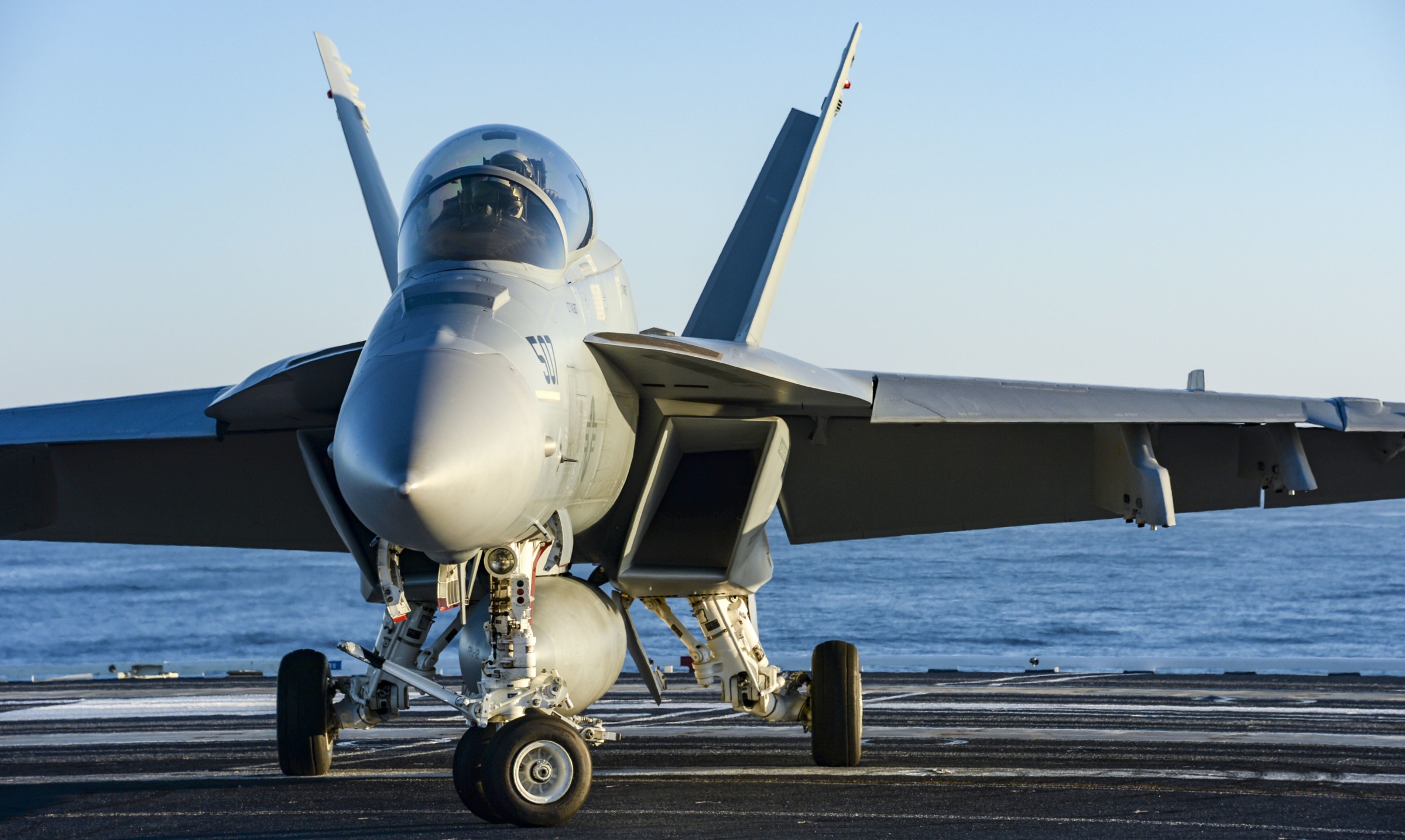 vaq-129 vikings electronic attack squadron fleet replacement frs us navy ea-18g growler 55 cvn-70 uss carl vinson