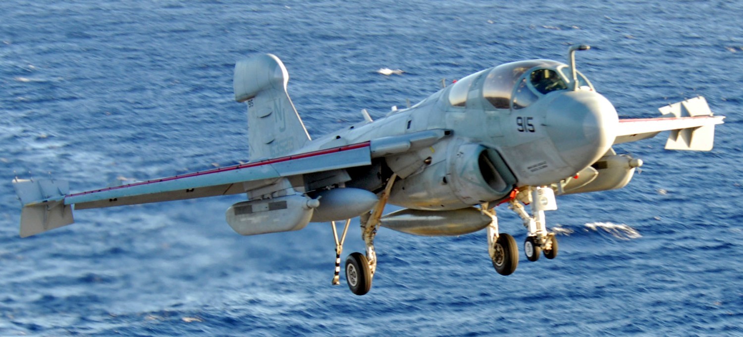 vaq-129 vikings electronic attack squadron fleet replacement frs us navy ea-6b prowler 95