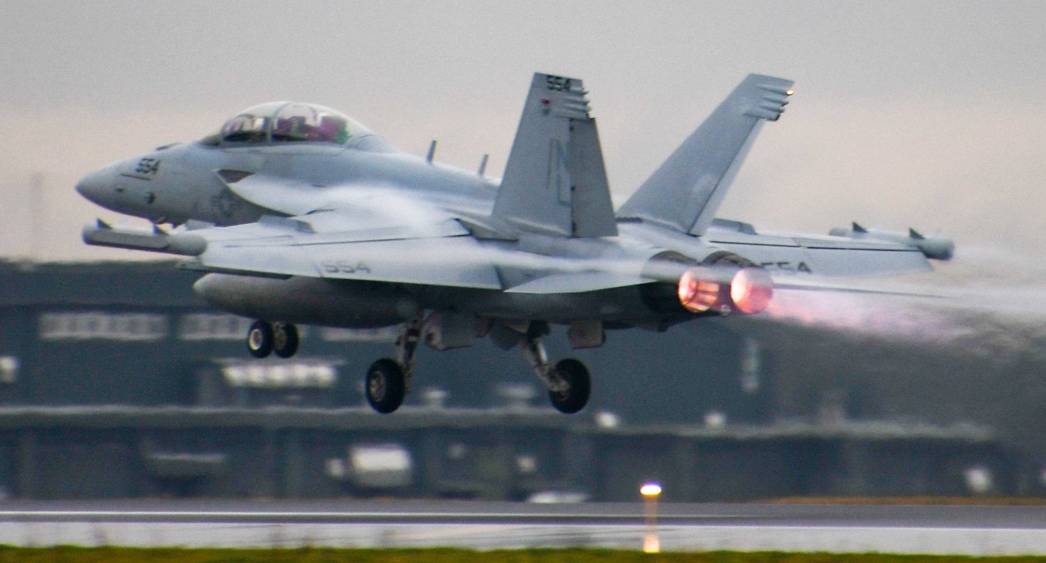 vaq-131 lancers electronic attack squadron vaqron us navy boeing ea-18g growler misawa air base japan 73