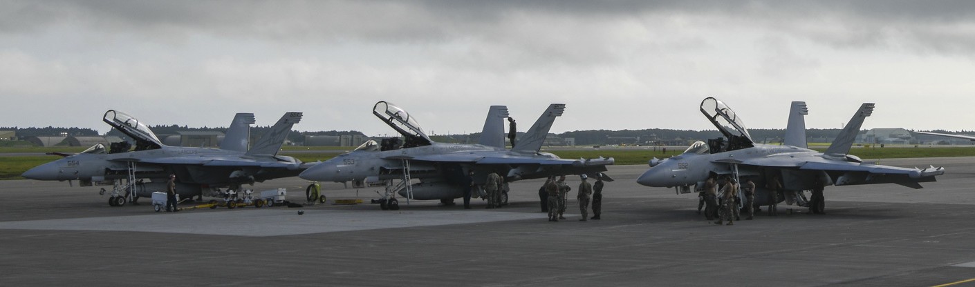 vaq-131 lancers electronic attack squadron vaqron us navy boeing ea-18g growler misawa air base japan 79