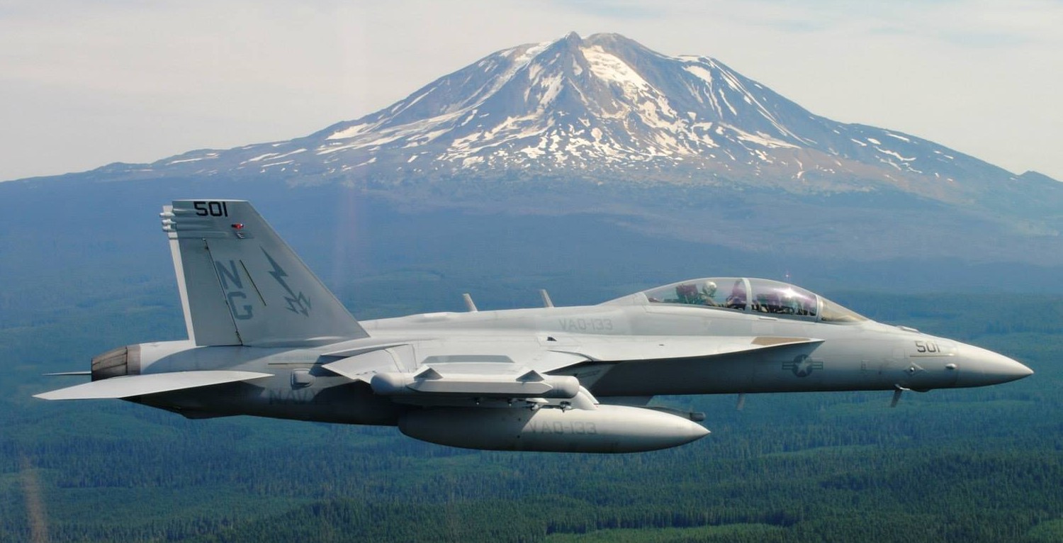 vaq-133 wizards electronic attack squadron vaqron us navy boeing ea-18g growler nas whidbey island 30