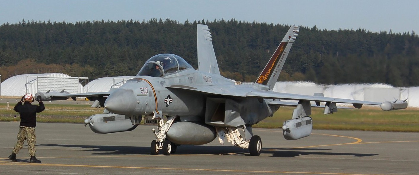 vaq-133 wizards electronic attack squadron vaqron us navy boeing ea-18g growler nas whidbey island 57