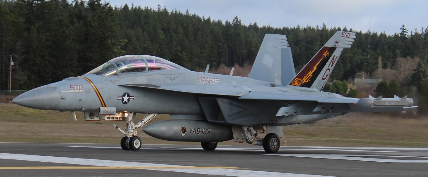 vaq-133 wizards electronic attack squadron vaqron us navy boeing ea-18g growler nas whidbey island 63