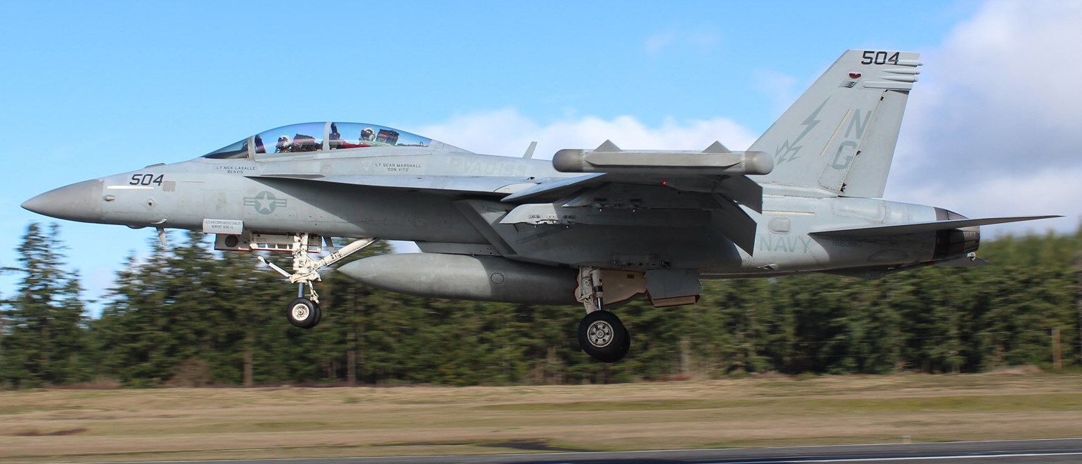 vaq-133 wizards electronic attack squadron vaqron us navy boeing ea-18g growler nas whidbey island 65