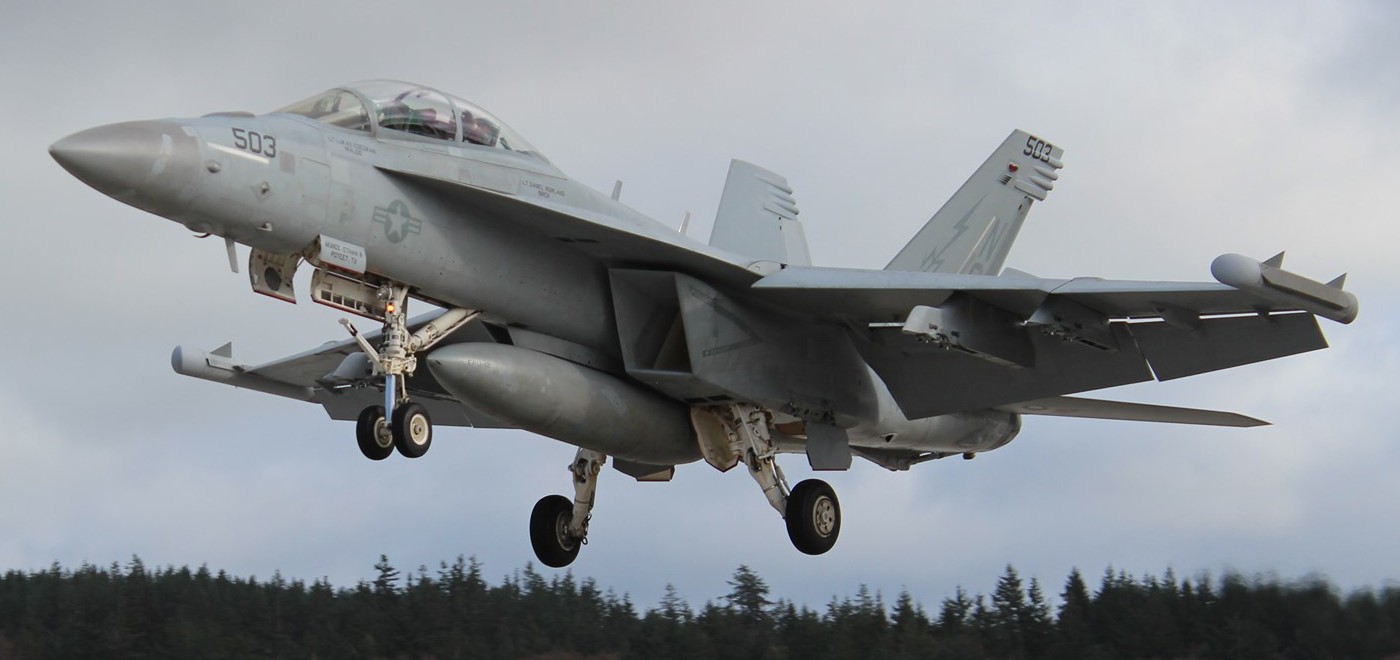 vaq-133 wizards electronic attack squadron vaqron us navy boeing ea-18g growler nas whidbey island 67