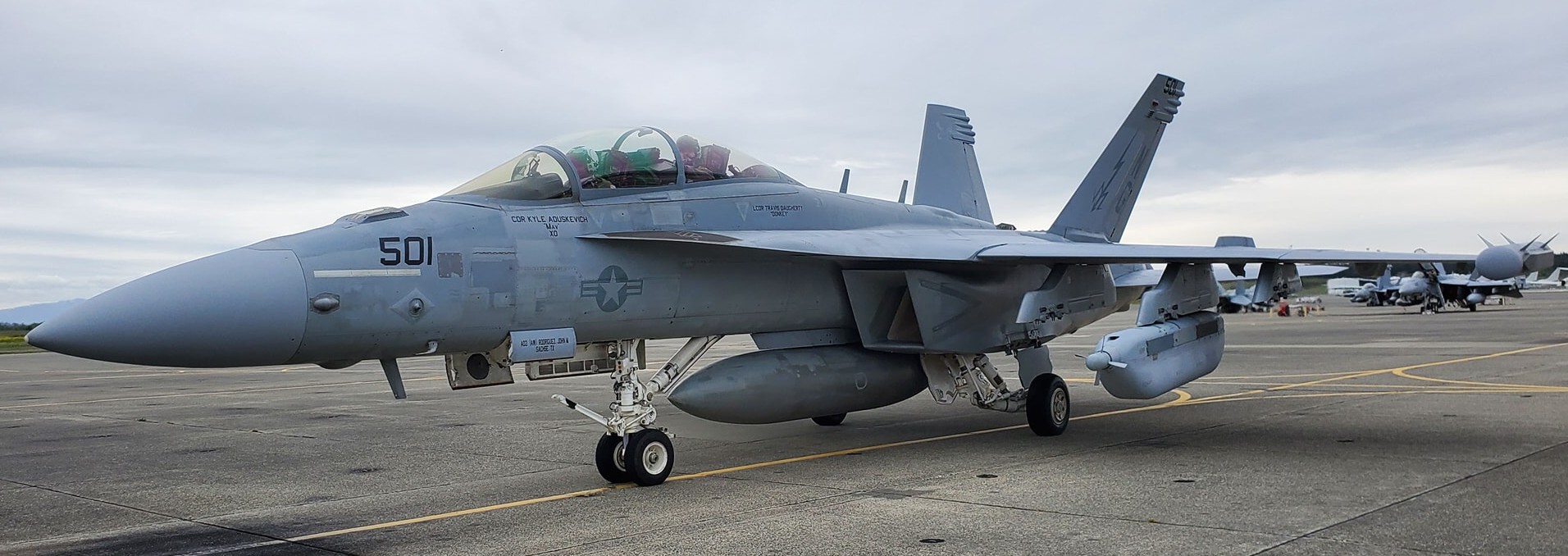 vaq-133 wizards electronic attack squadron vaqron us navy boeing ea-18g growler nas whidbey island 72