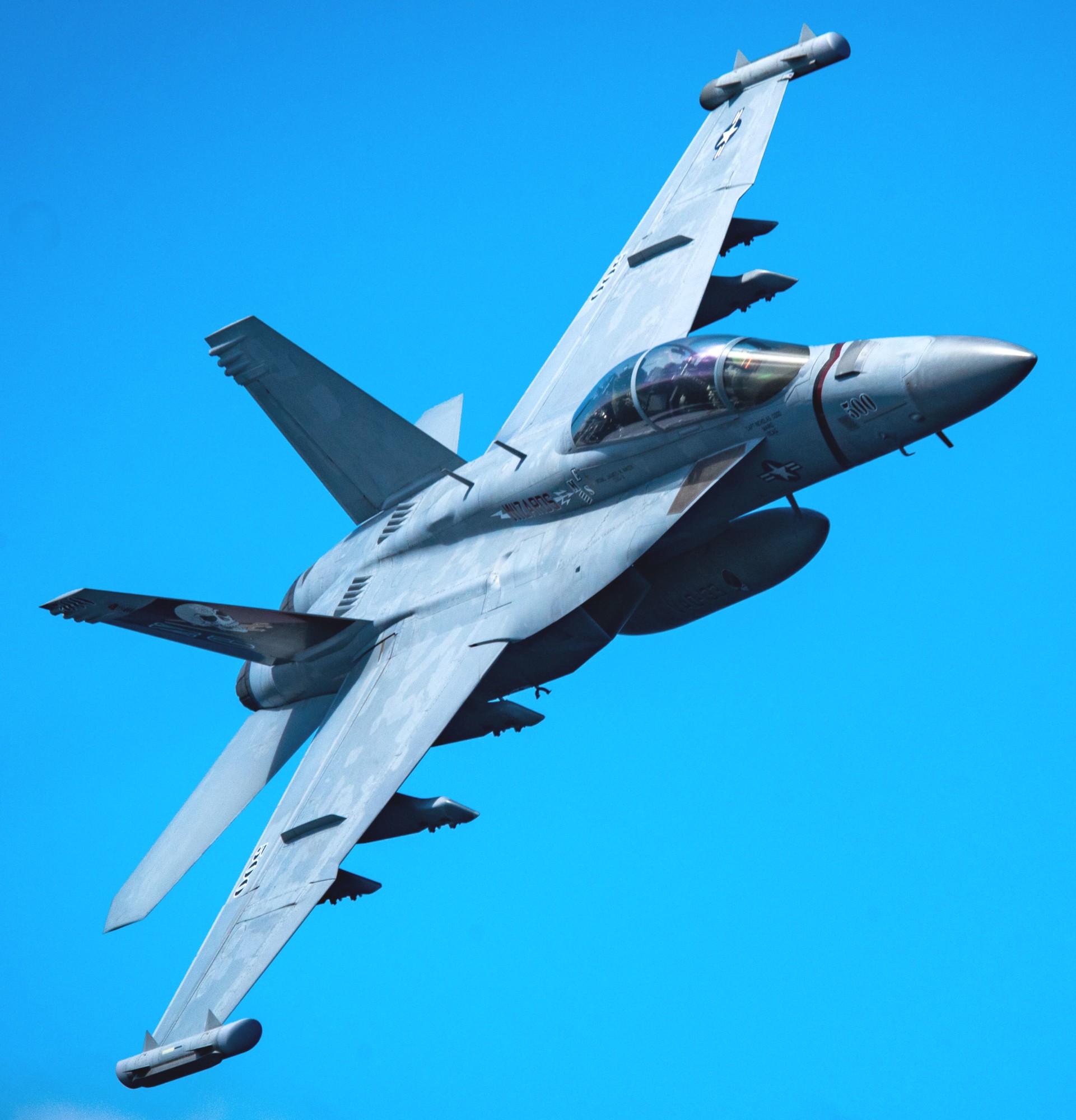 vaq-133 wizards electronic attack squadron vaqron us navy boeing ea-18g growler 73