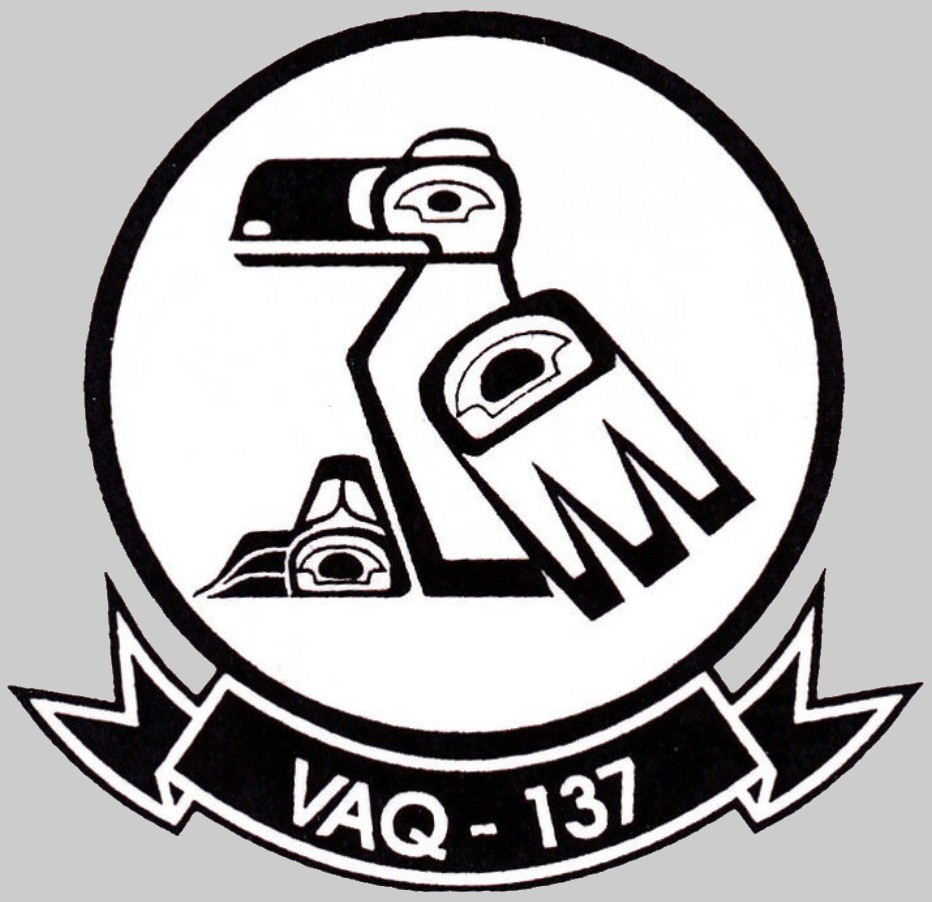 vaq-137 rooks insignia crest patch badge electronic attack squadron us navy 03