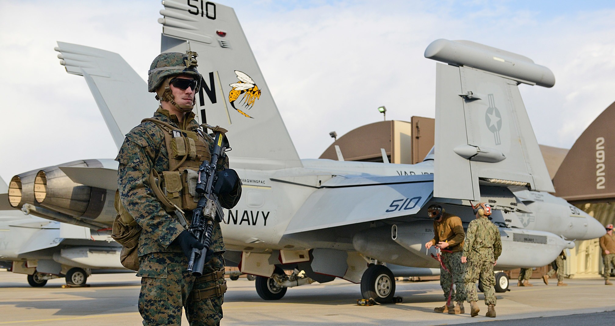 vaq-138 yellowjackets electronic attack squadron us navy boeing ea-18g growler kunsan air base korea 37