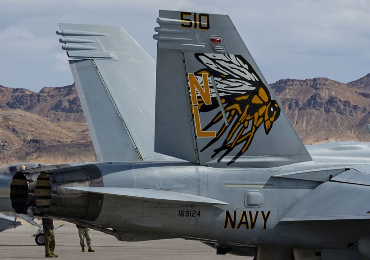 vaq-138 yellowjackets electronic attack squadron us navy boeing ea-18g growler 60a special colour painting
