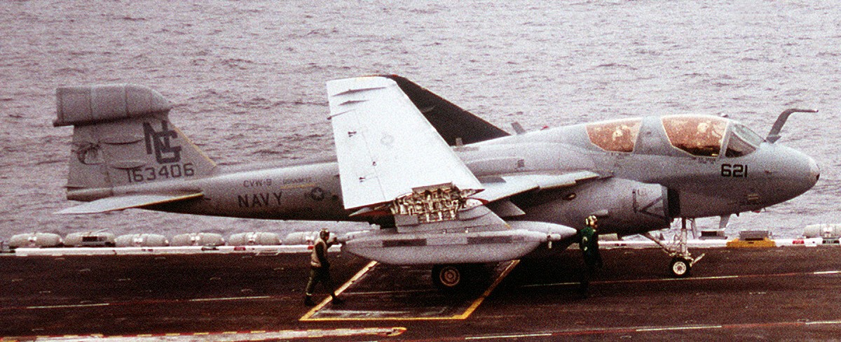 vaq-138 yellowjackets tactical electronic warfare squadron us navy ea-6b prowler carrier air wing cvw-9 uss nimitz cvn-68 69