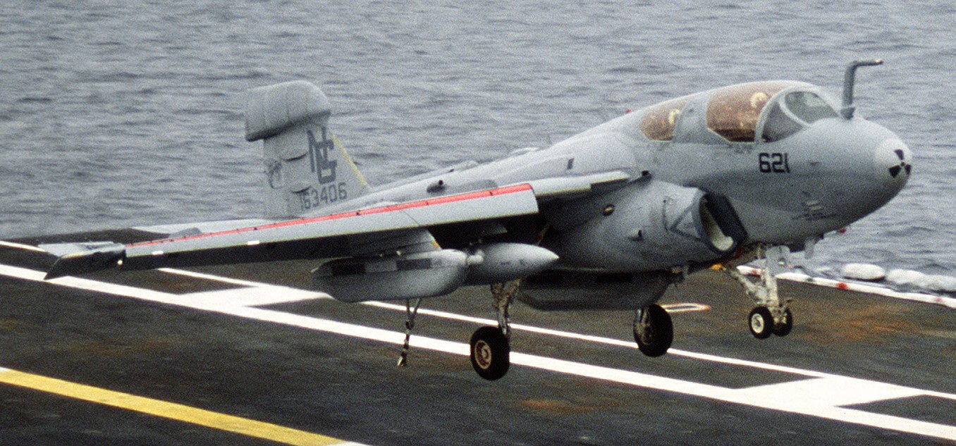 vaq-138 yellowjackets tactical electronic warfare squadron us navy ea-6b prowler carrier air wing cvw-9 uss nimitz cvn-68 71