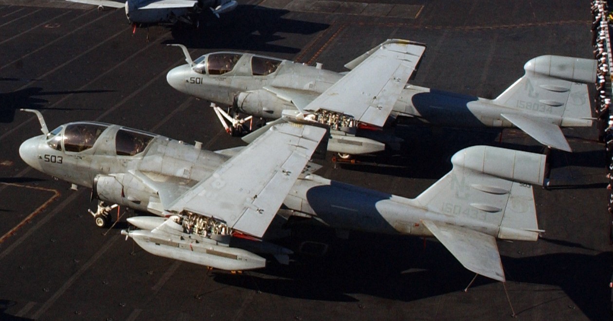 vaq-138 yellowjackets electronic attack squadron us navy ea-6b prowler carrier air wing cvw-9 uss carl vinson cvn-70 85