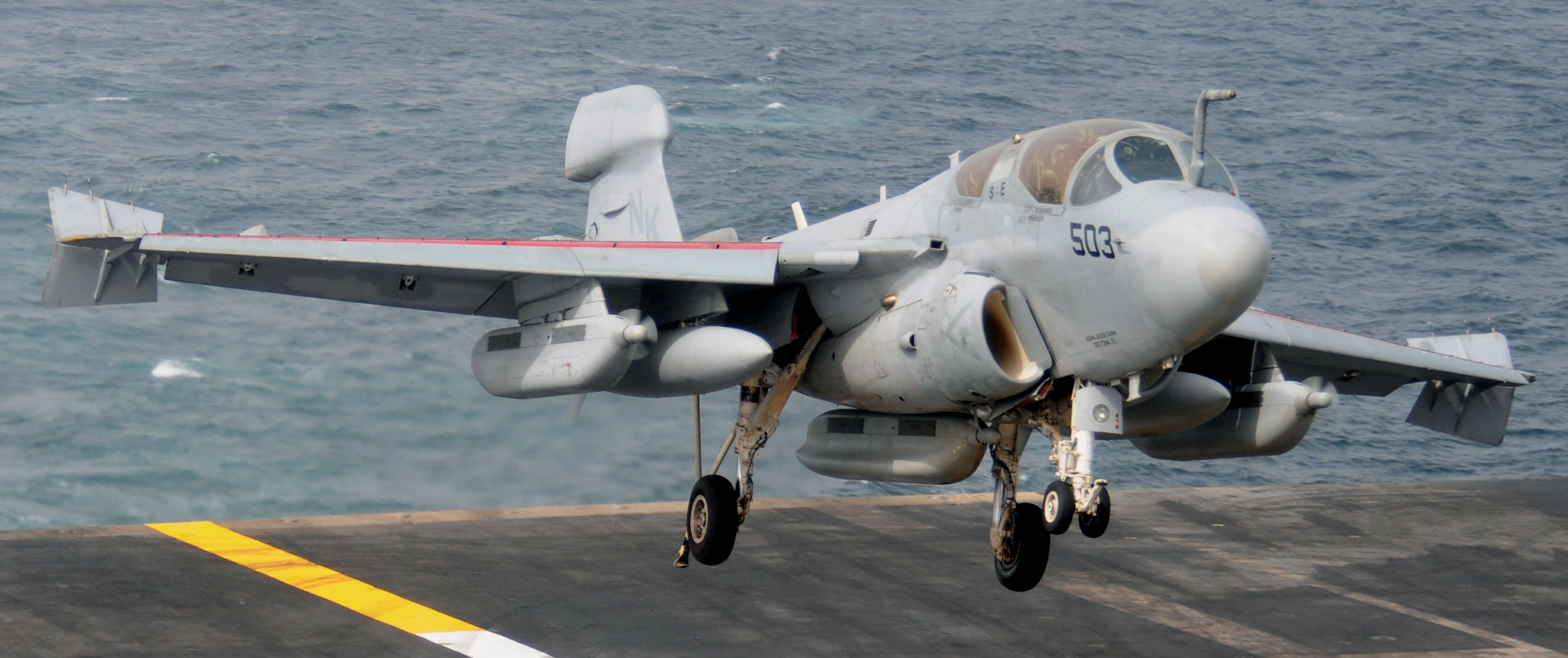 vaq-139 cougars electronic attack squadron us navy ea-6b prowler cvw-14 uss ronald reagan cvn-76 36