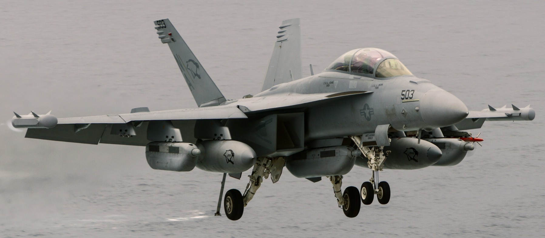 vaq-139 cougars electronic attack squadron us navy ea-18g growler cvw-17 uss carl vinson cvn-70 58