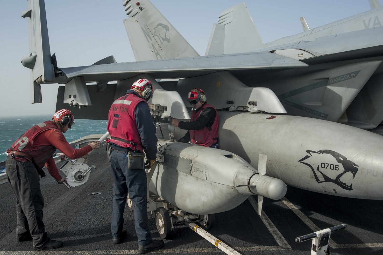 vaq-139 cougars electronic attack squadron us navy ea-18g growler cvw-17 uss carl vinson cvn-70 64