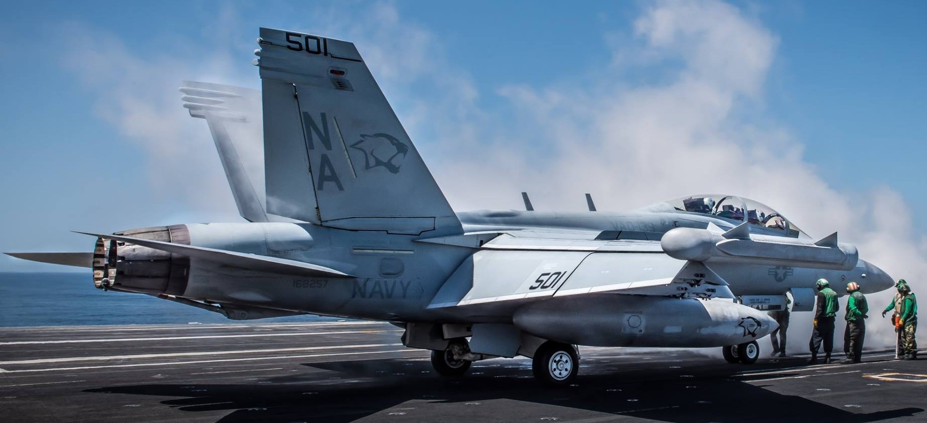 vaq-139 cougars electronic attack squadron us navy ea-18g growler cvw-17 uss theodore roosevelt cvn-71 82