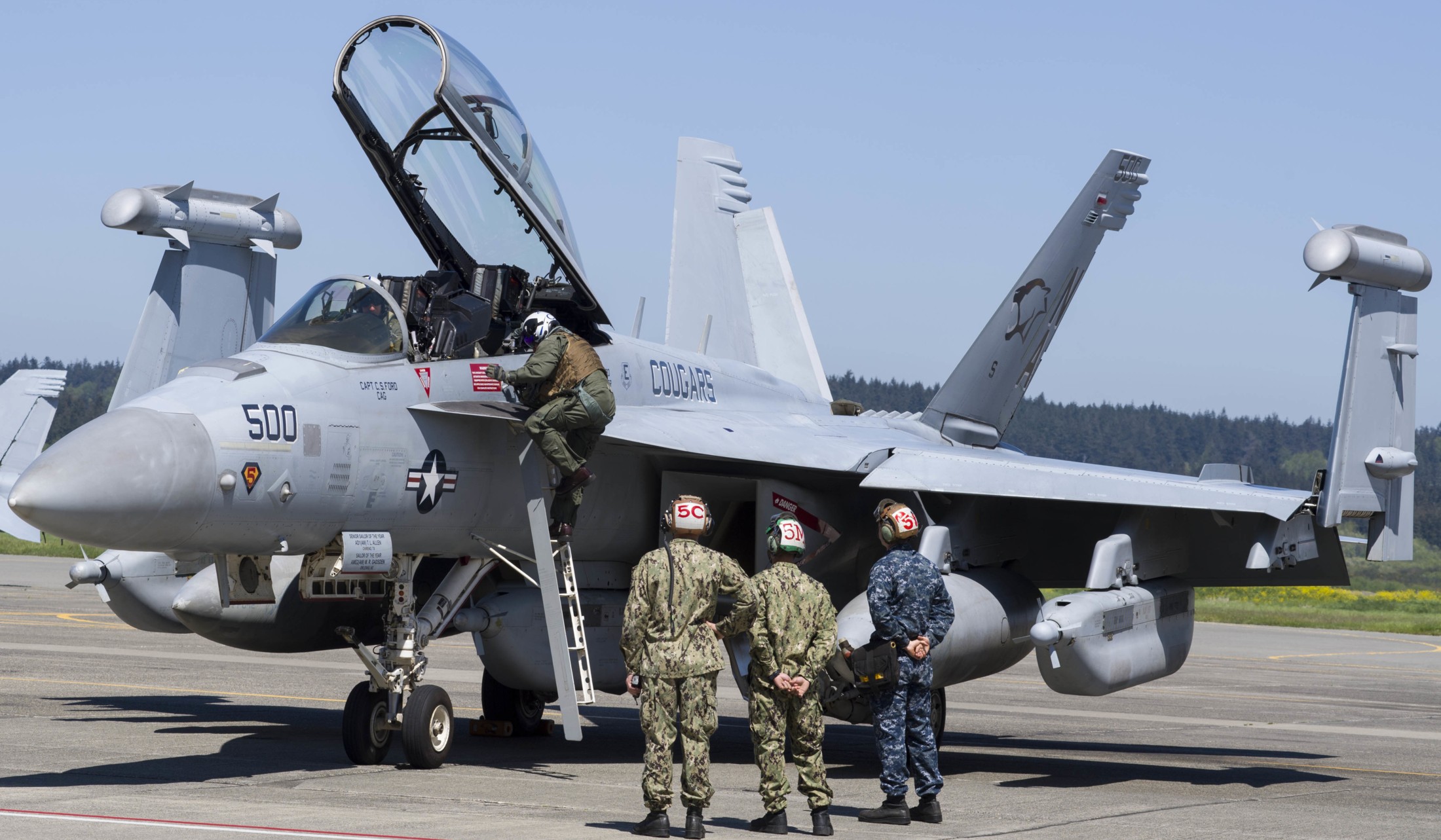 vaq-139 cougars electronic attack squadron us navy ea-18g growler cvw-17 nas whidbey island 107