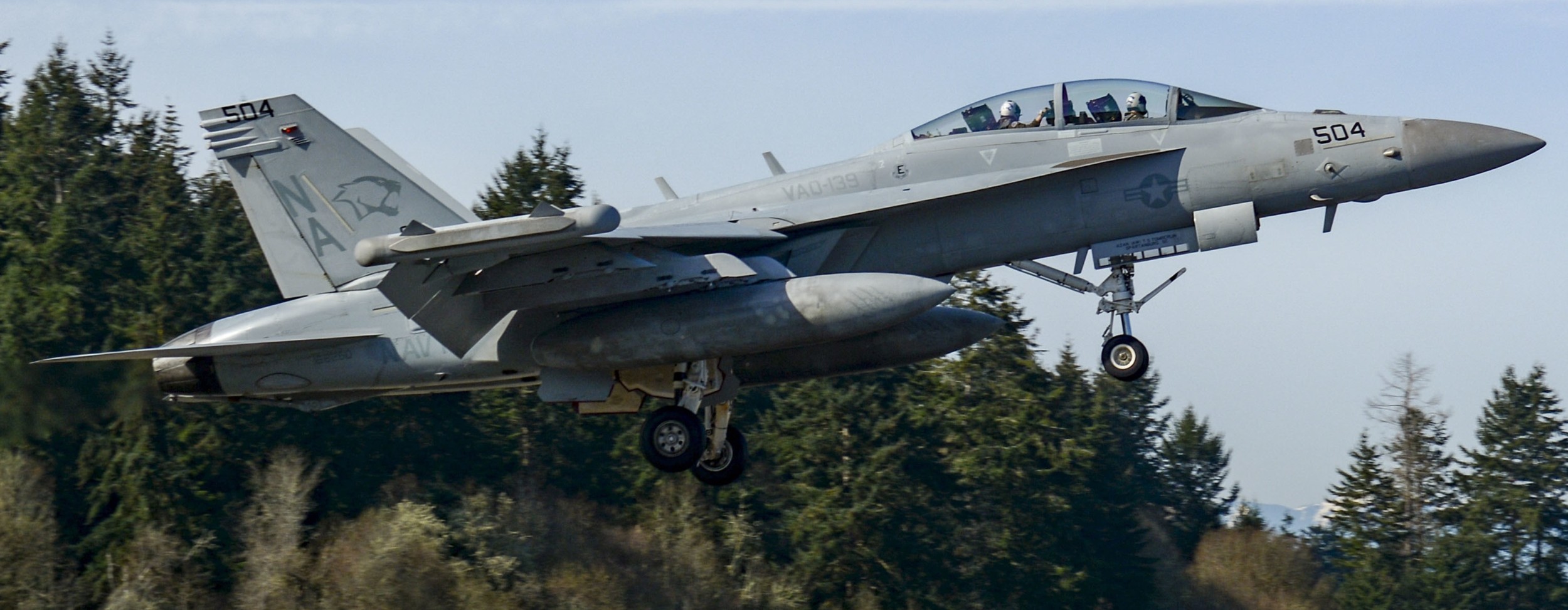 vaq-139 cougars electronic attack squadron us navy ea-18g growler cvw-17 nas whidbey island 114