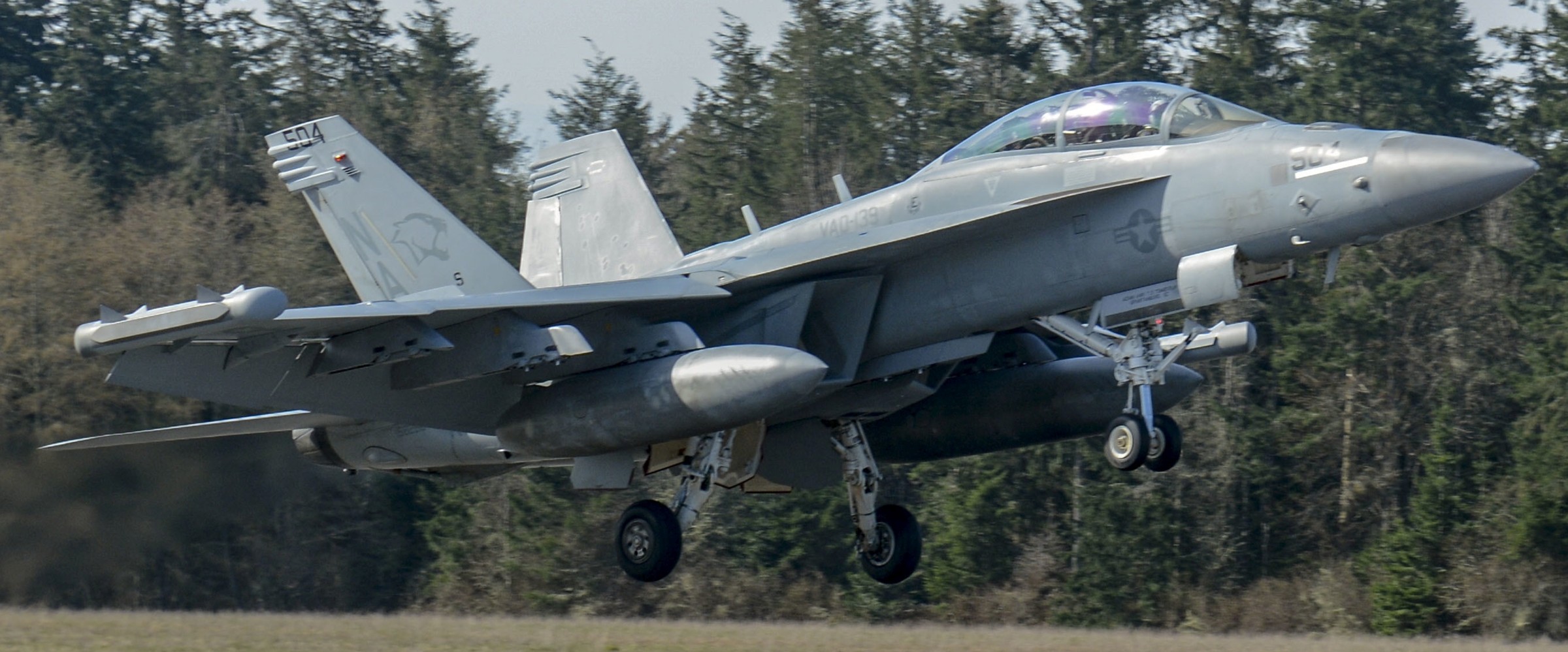 vaq-139 cougars electronic attack squadron us navy ea-18g growler cvw-17 nas whidbey island 115