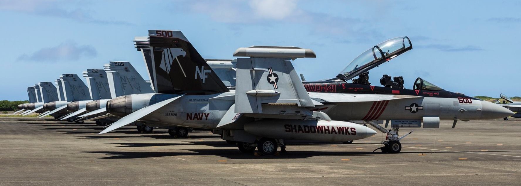 vaq-141 shadowhawks electronic attack squadron boeing ea-18g growler us navy cvw-5 iwo jima to japan 59