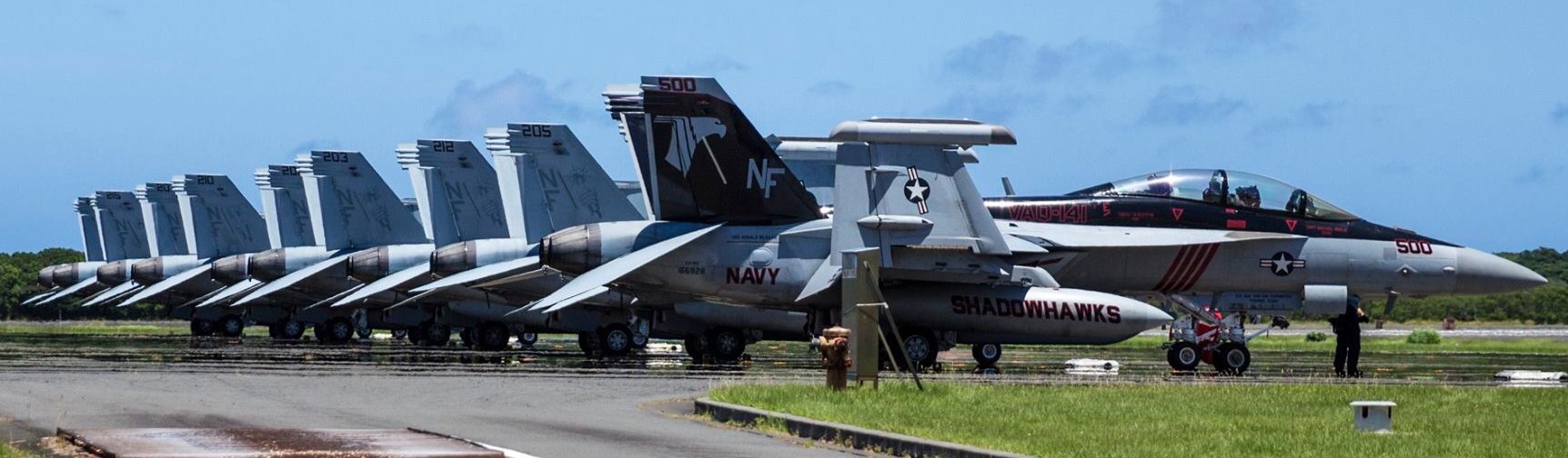 vaq-141 shadowhawks electronic attack squadron boeing ea-18g growler us navy cvw-5 uss ronald reagan cvn-76 60