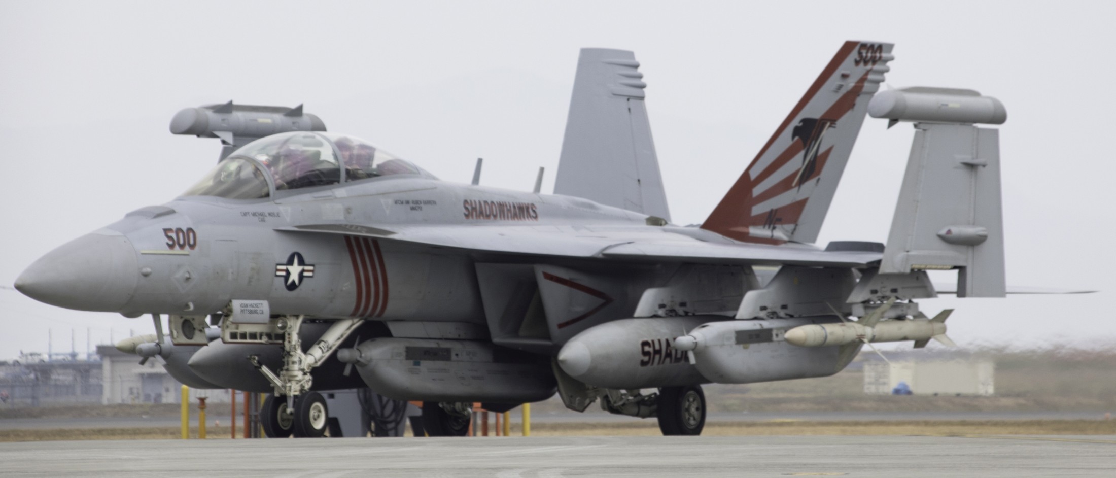vaq-141 shadowhawks electronic attack squadron boeing ea-18g growler us navy cvw-5 mcas iwakuni japan 94