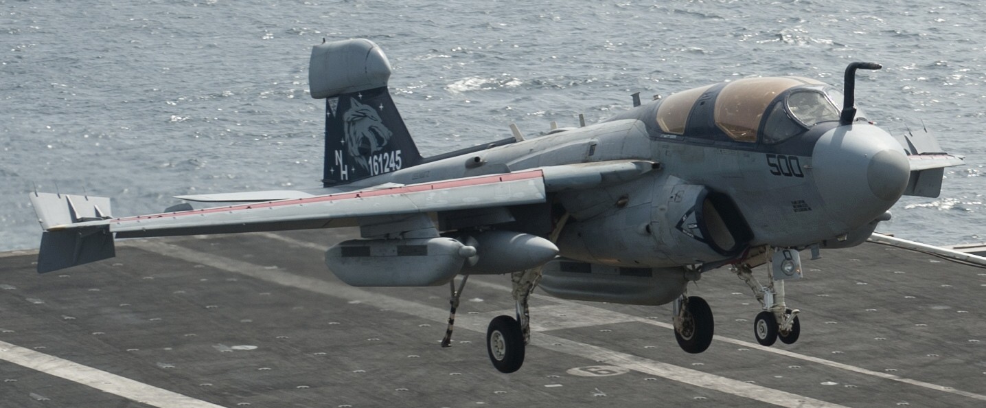 vaq-142 gray wolves electronic attack squadron ea-6b prowler us navy cvw-11 uss nimitz cvn-68 36