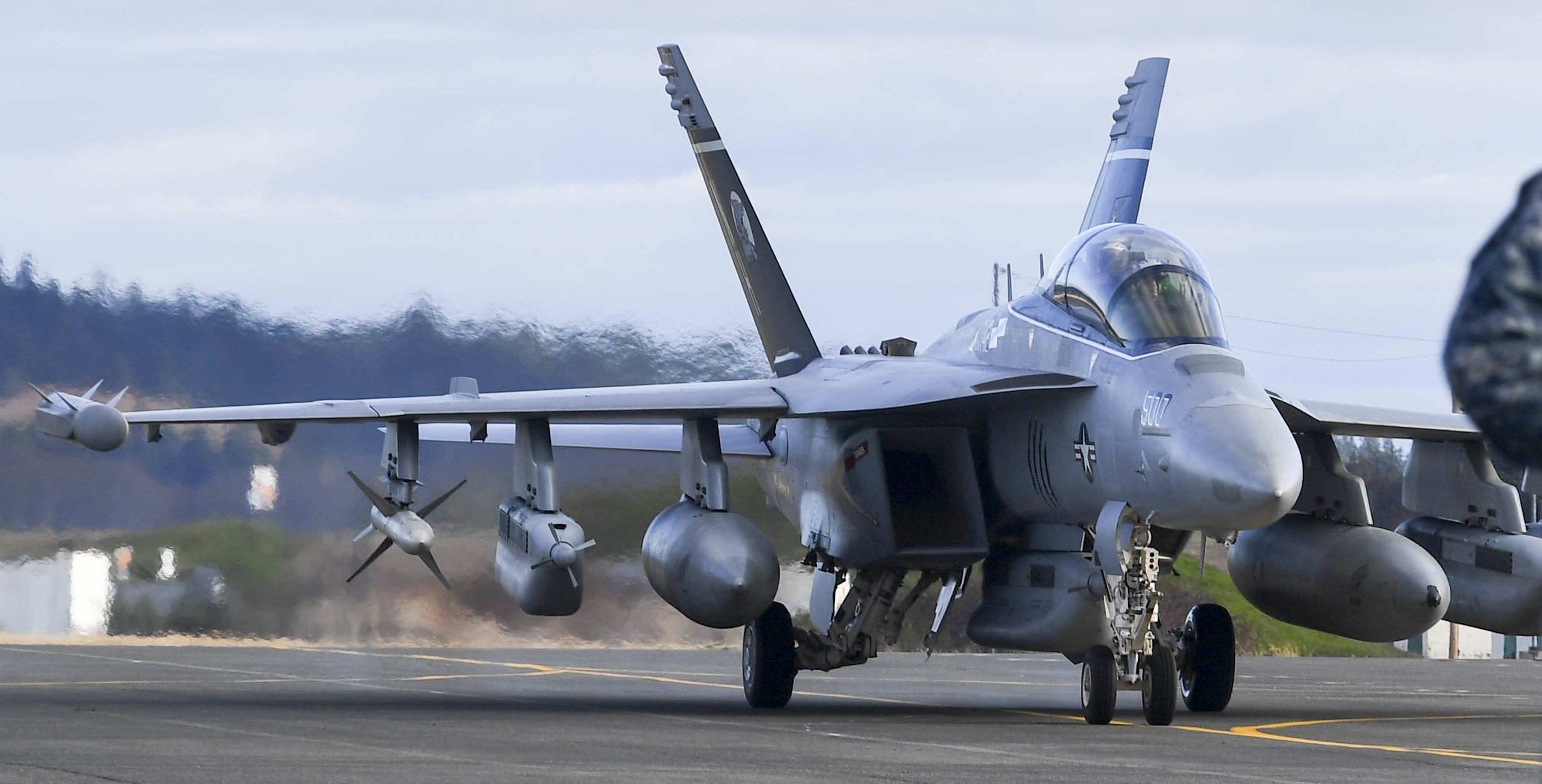 vaq-142 gray wolves electronic attack squadron ea-18g growler us navy cvw-11 nas whidbey island 101