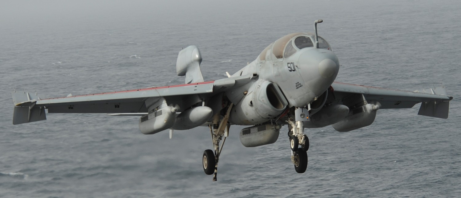 vaq-142 gray wolves electronic attack squadron ea-6b prowler us navy cvw-11 uss nimitz cvn-68 121