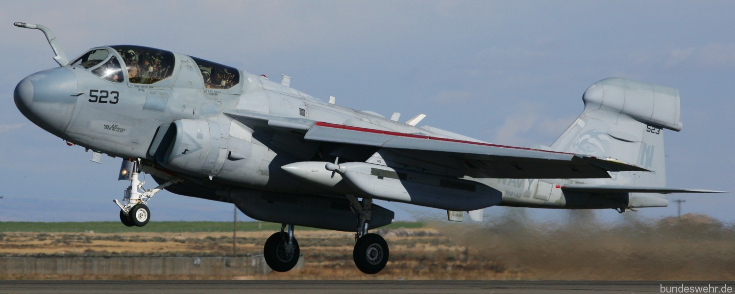 vaq-142 gray wolves electronic attack squadron ea-6b prowler us navy mountain home afb idaho 125