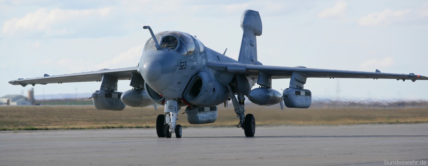 vaq-142 gray wolves electronic attack squadron ea-6b prowler us navy mountain home afb idaho 128